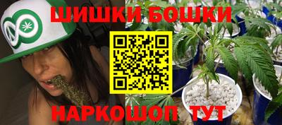 эйфоретик Кингисепп