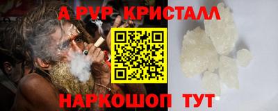 эйфоретик Кингисепп