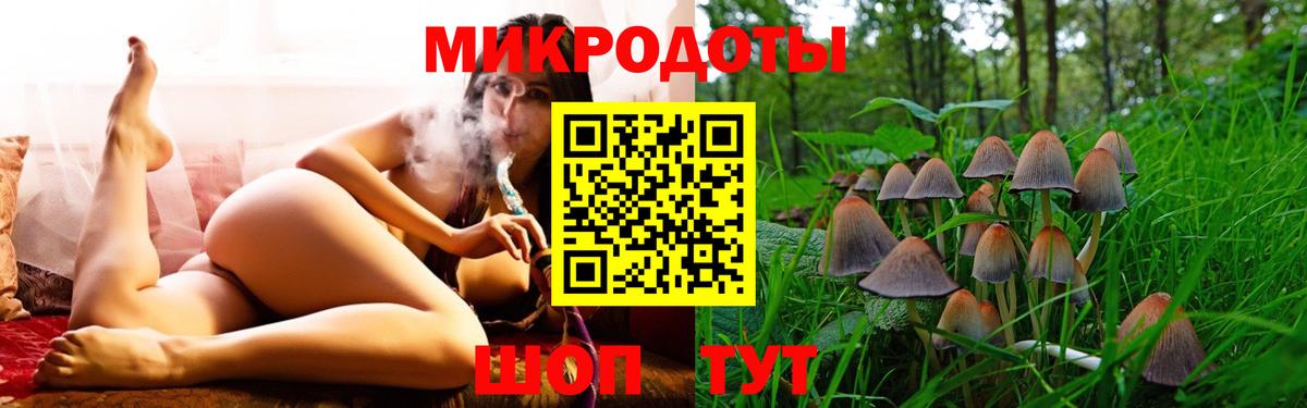 Александров  Псилоцибиновые грибы MAGIC MUSHROOMS  Вход с VPN 
